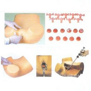 Maternity hospital simulated production model